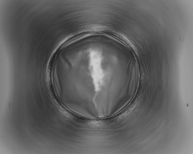 X0000113050835200909171539