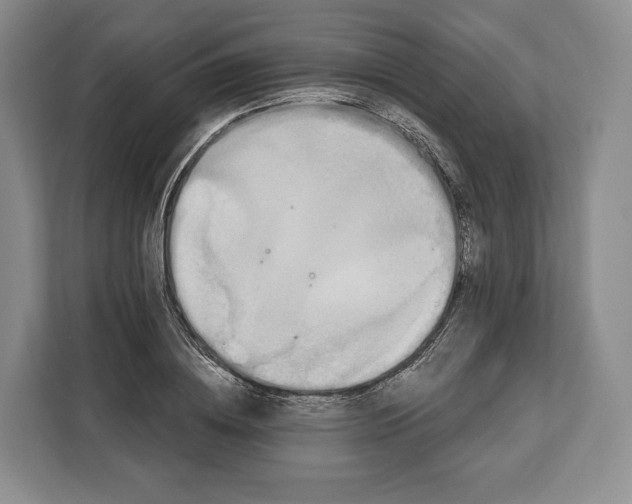 X0000113050836200909171539