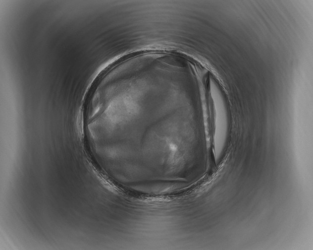 X0000113050838200909171539