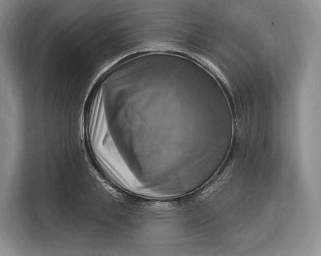 X0000113050839200909171539