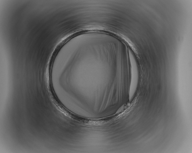 X0000113050840200909171539