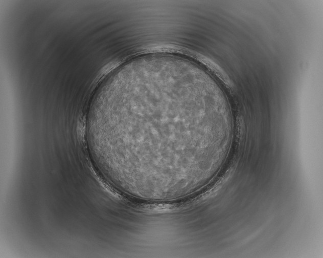 X0000113050841200909171539