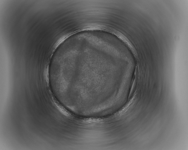 X0000113050842200909171539