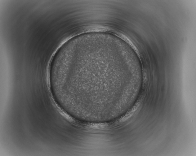 X0000113050843200909171539