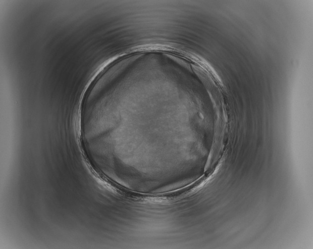 X0000113050844200909171539