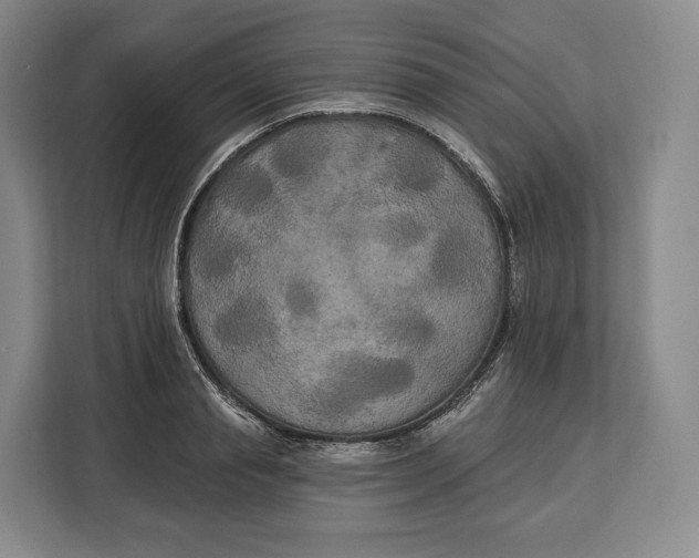 X0000113050845200909171539