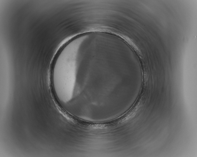 X0000113050846200909171539