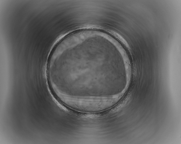 X0000113050847200909171539