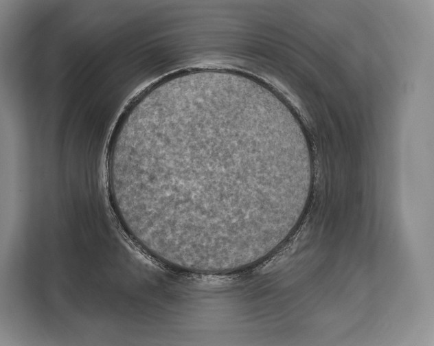 X0000113050848200909171539