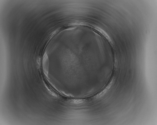 X0000113050849200909171539