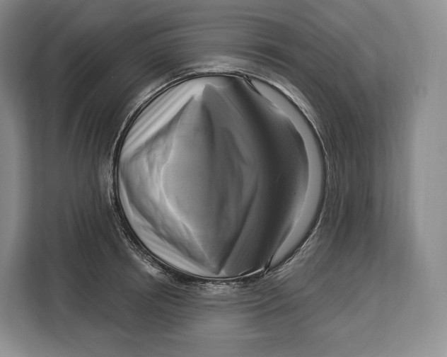 X0000113050850200909171539