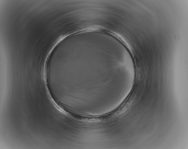 X0000113050851200909171539