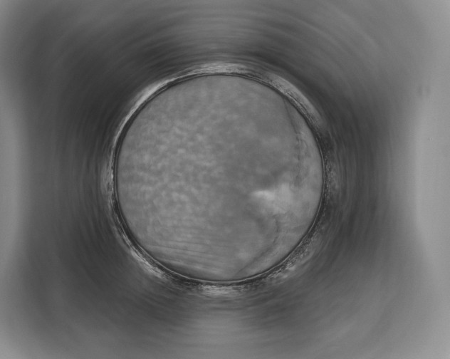 X0000113050852200909171539