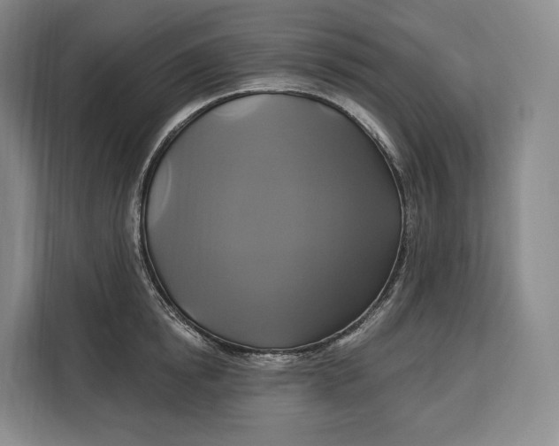 X0000113050854200909171539