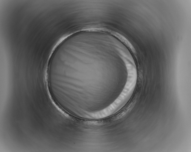 X0000113050855200909171539