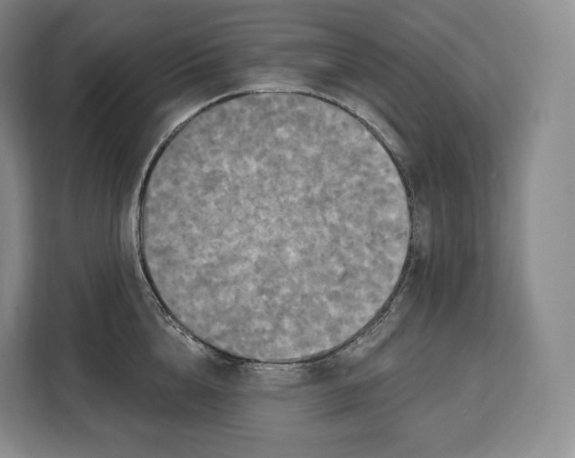 X0000113050856200909171539