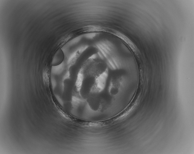 X0000113050857200909171540