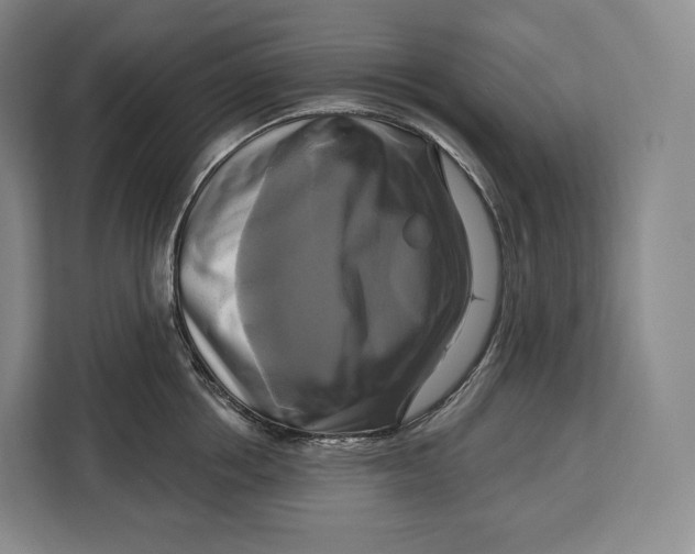 X0000113050858200909171540