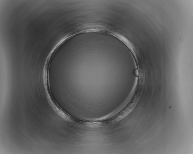 X0000113050859200909171540