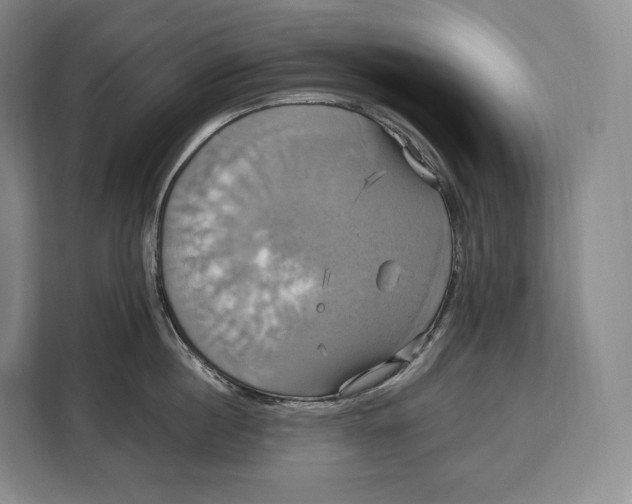 X0000113050860200909171540