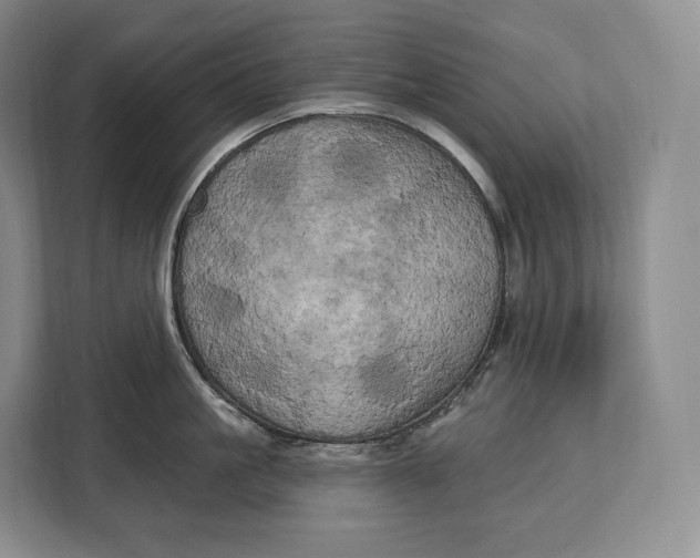 X0000113050861200909171540