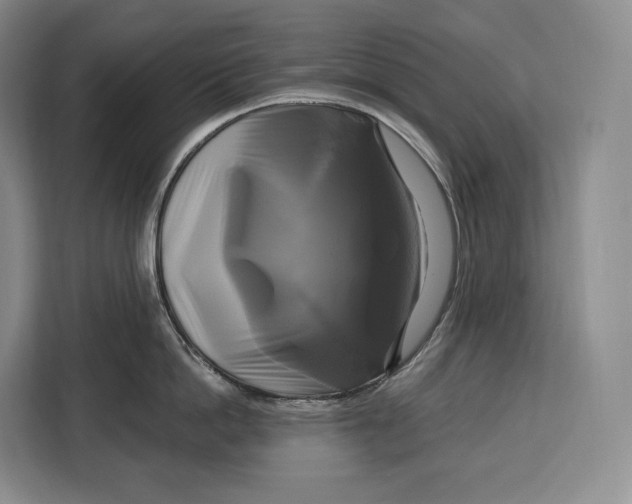 X0000113050862200909171540