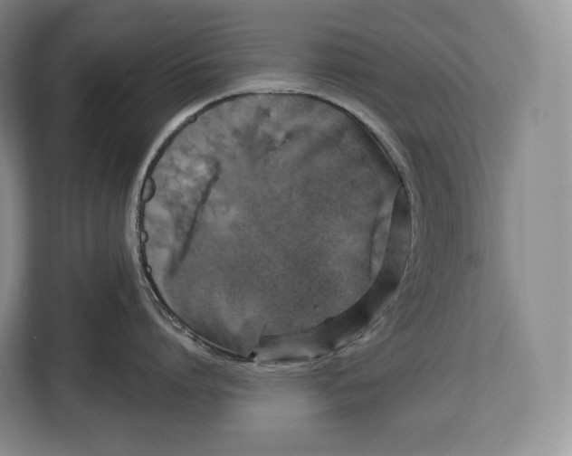 X0000113050864200909171540