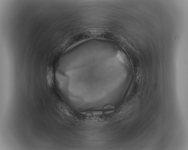 X0000113050866200909171539