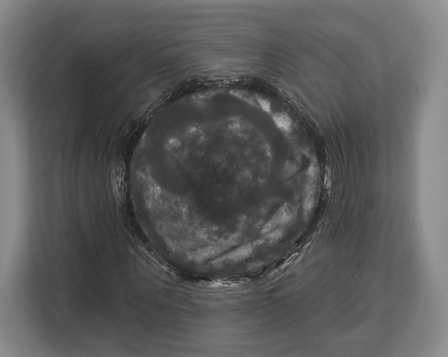 X0000113050867200909171539