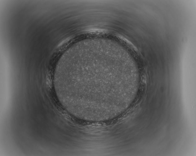 X0000113050869200909171539