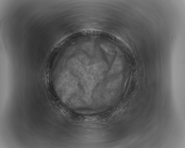 X0000113050870200909171539