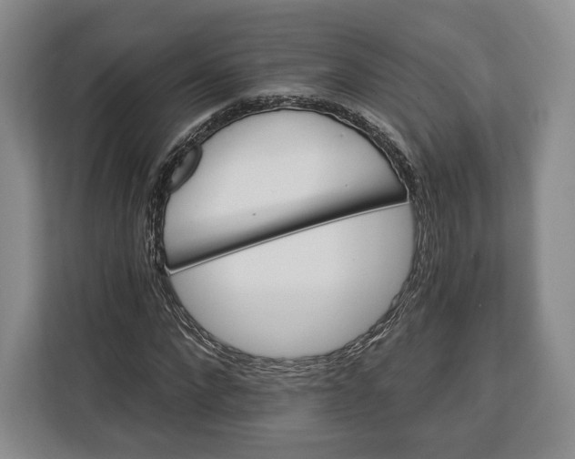 X0000113050872200909171539