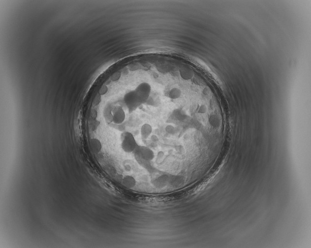 X0000113050875200909171539