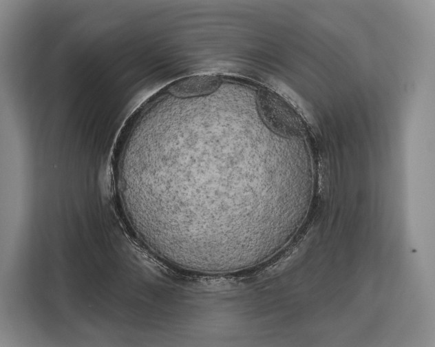 X0000113050876200909171539