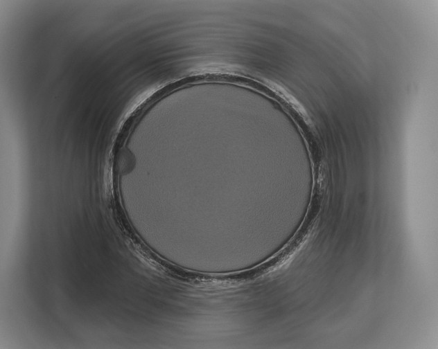 X0000113050877200909171539