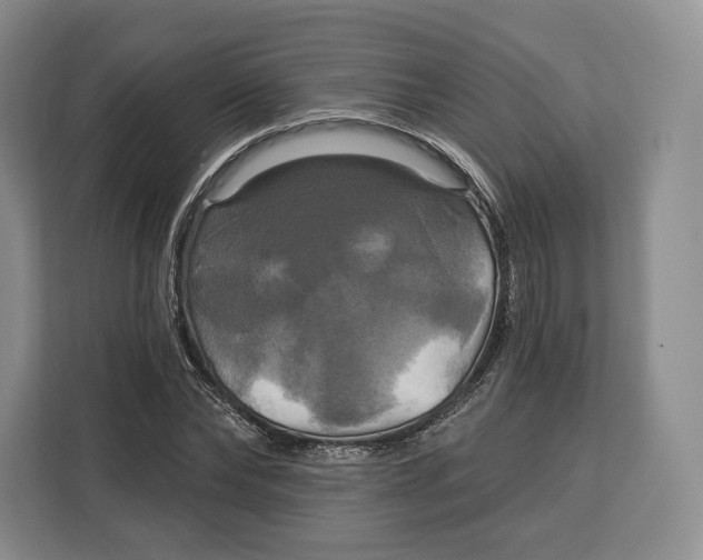 X0000113050878200909171539