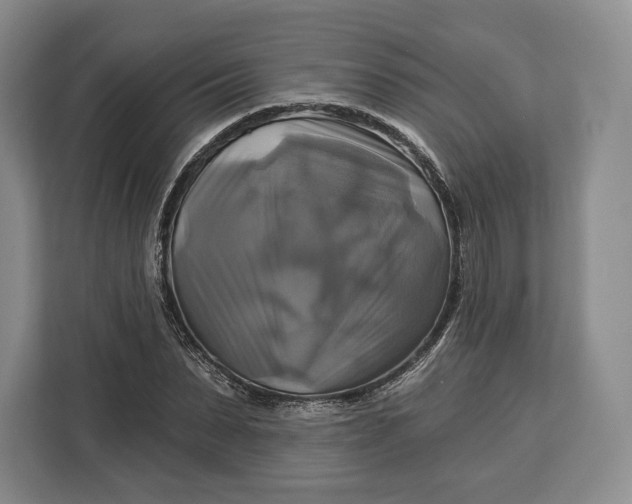 X0000113050879200909171539