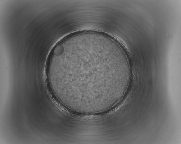 X0000113050880200909171539