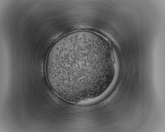 X0000113050881200909171539