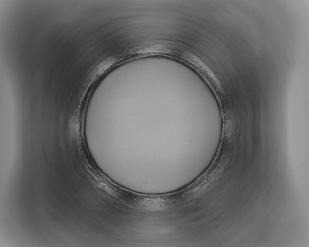 X0000113050882200909171539