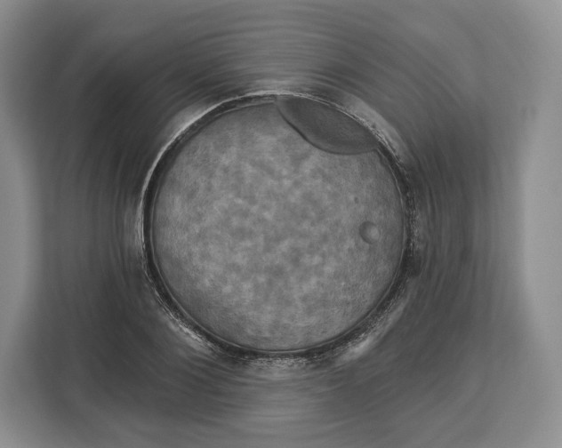 X0000113050884200909171539