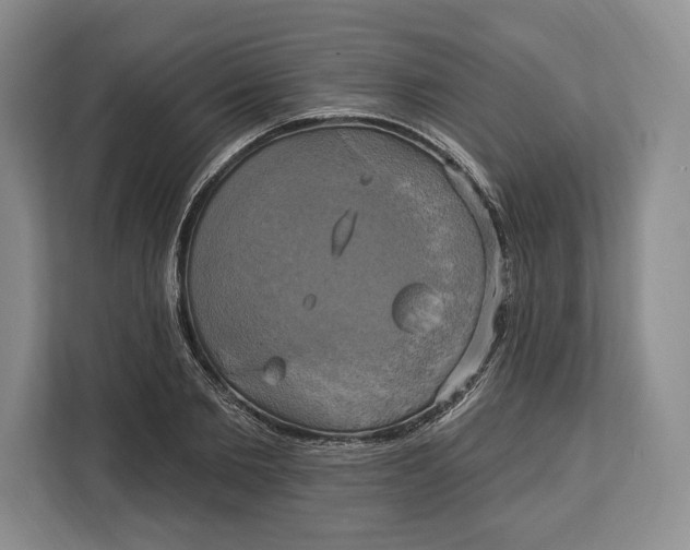 X0000113050885200909171539