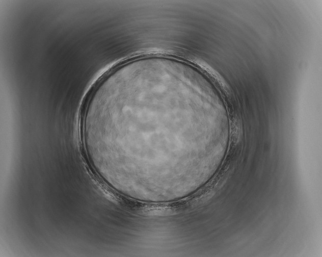 X0000113050886200909171539