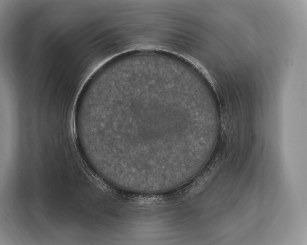 X0000113050887200909171539