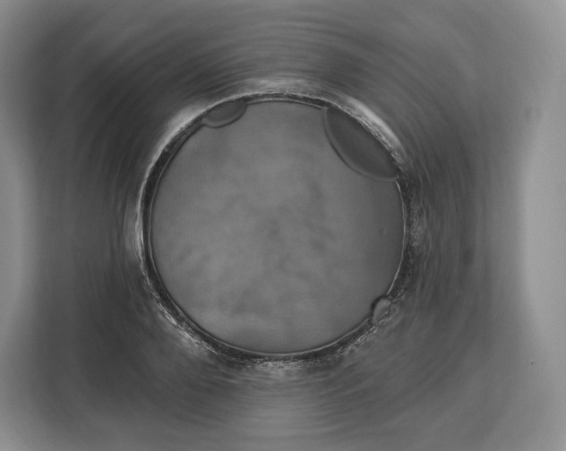 X0000113050888200909171539