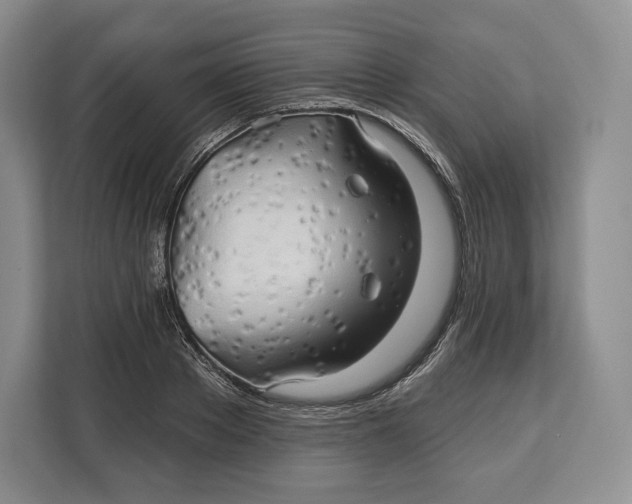 X0000113050889200909171539