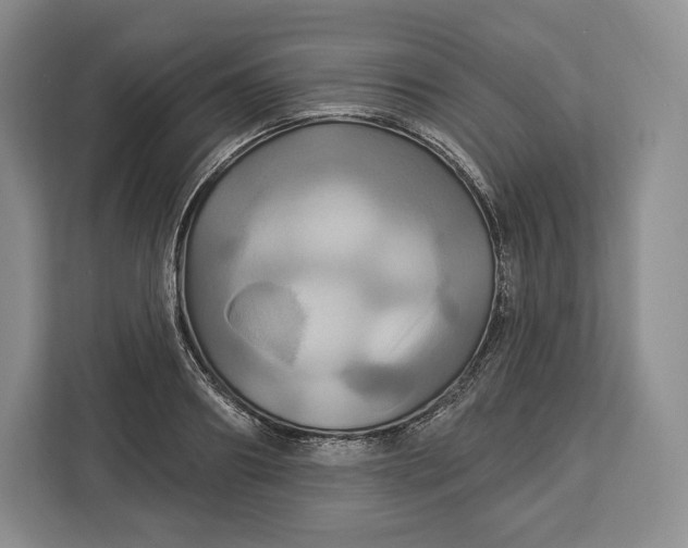 X0000113050890200909171539