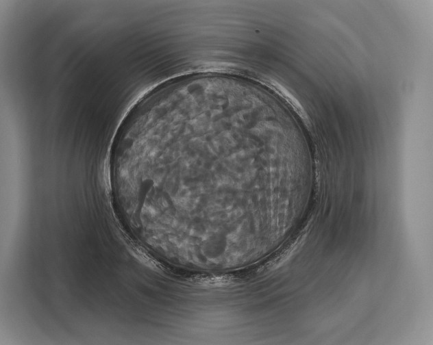 X0000113050891200909171539