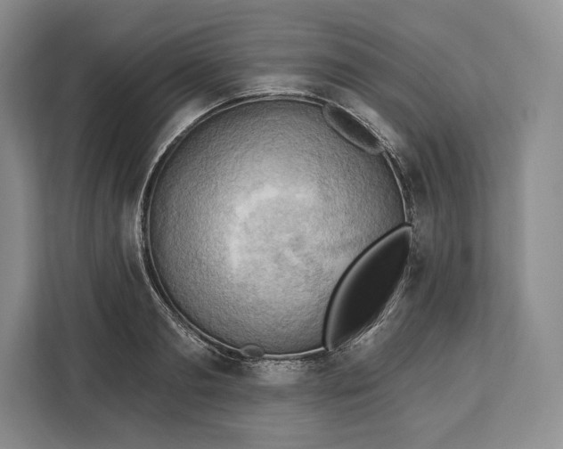 X0000113050893200909171539