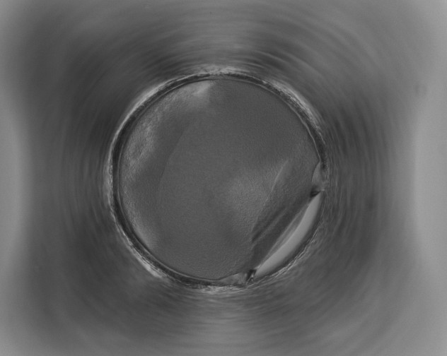 X0000113050894200909171539